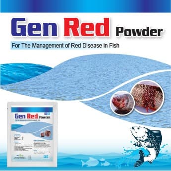 Gen Red Powder