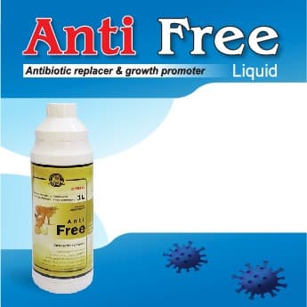 Anti Free