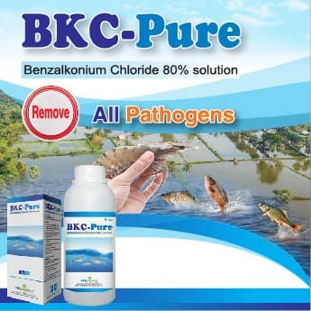 BKC-Pure