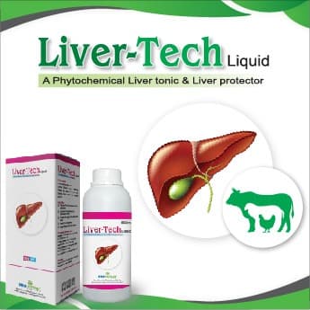 Liver-Tech