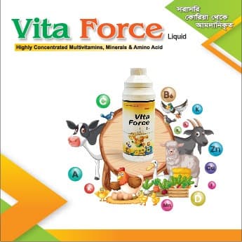 Vita Force