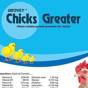 Chicks Greater
