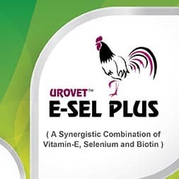 E-SEL PLUS