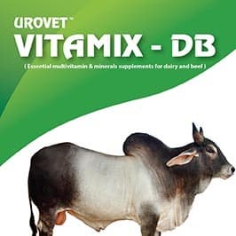 VITAMIX - DB