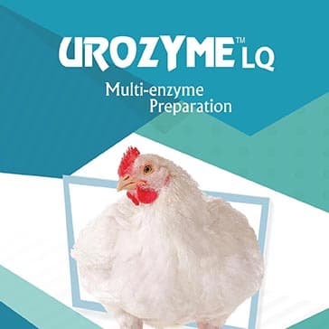 UROZYME