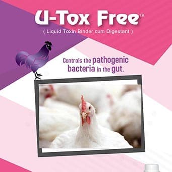 U-Tox Free